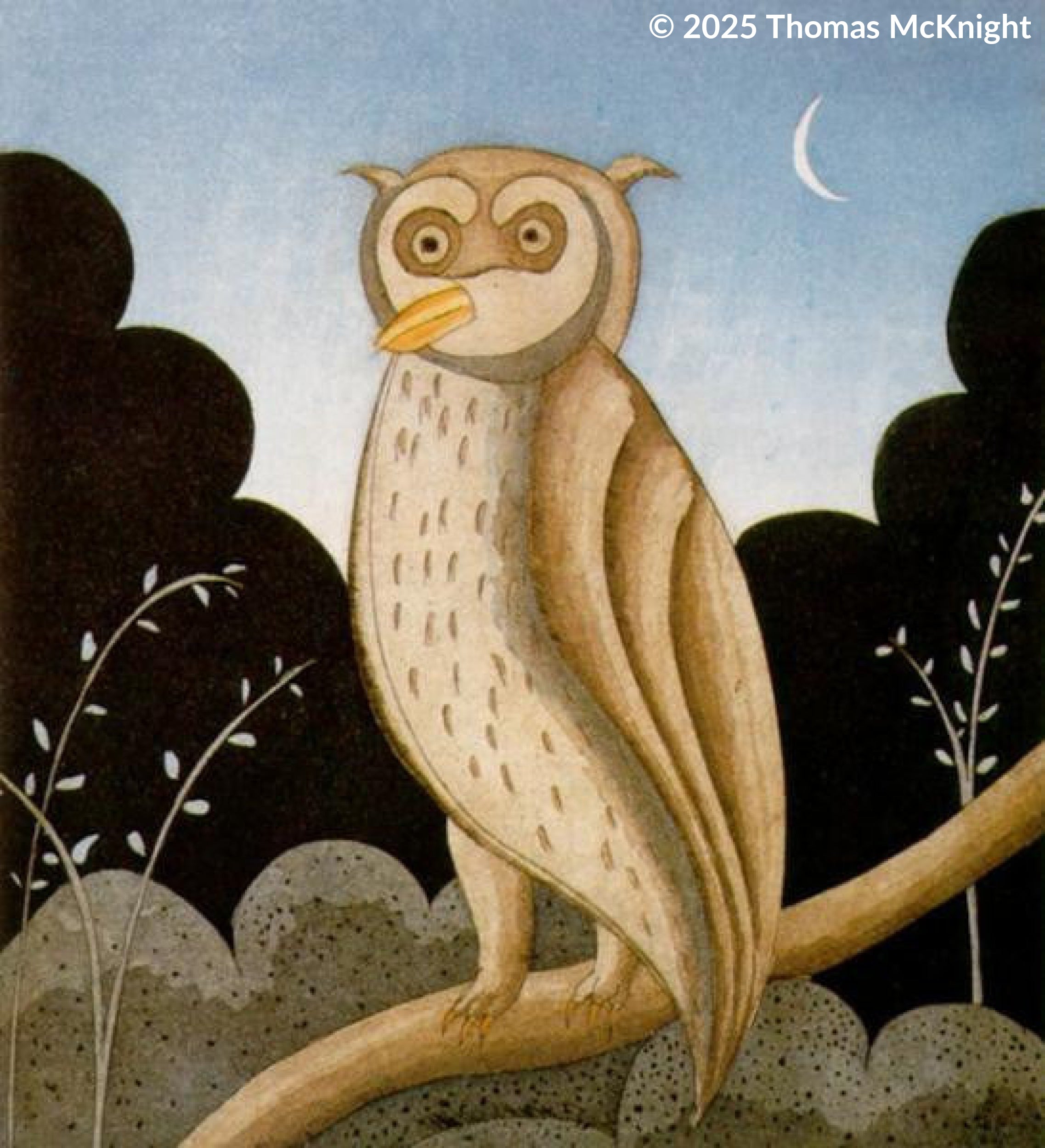 Owl