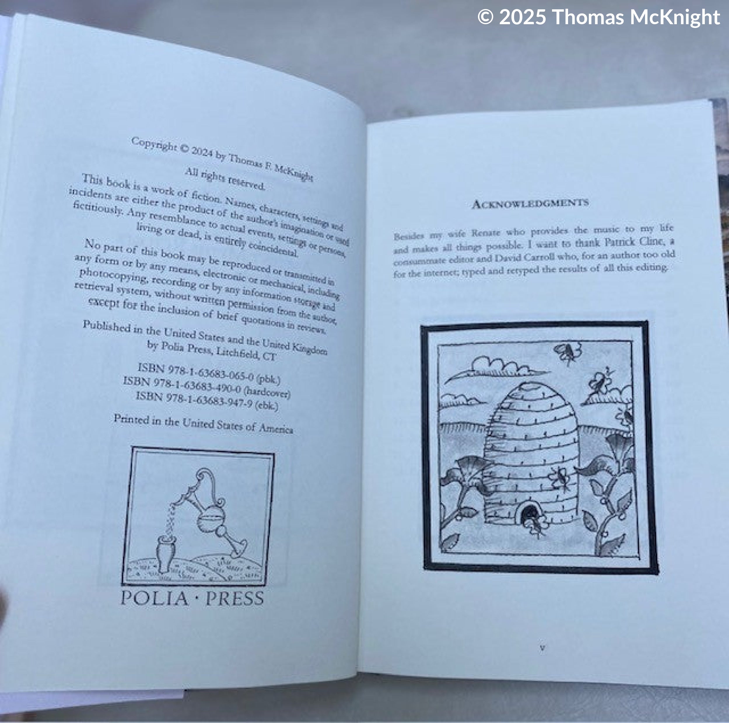 Thomas McKnight’s Tales of Mykonos Paperback books