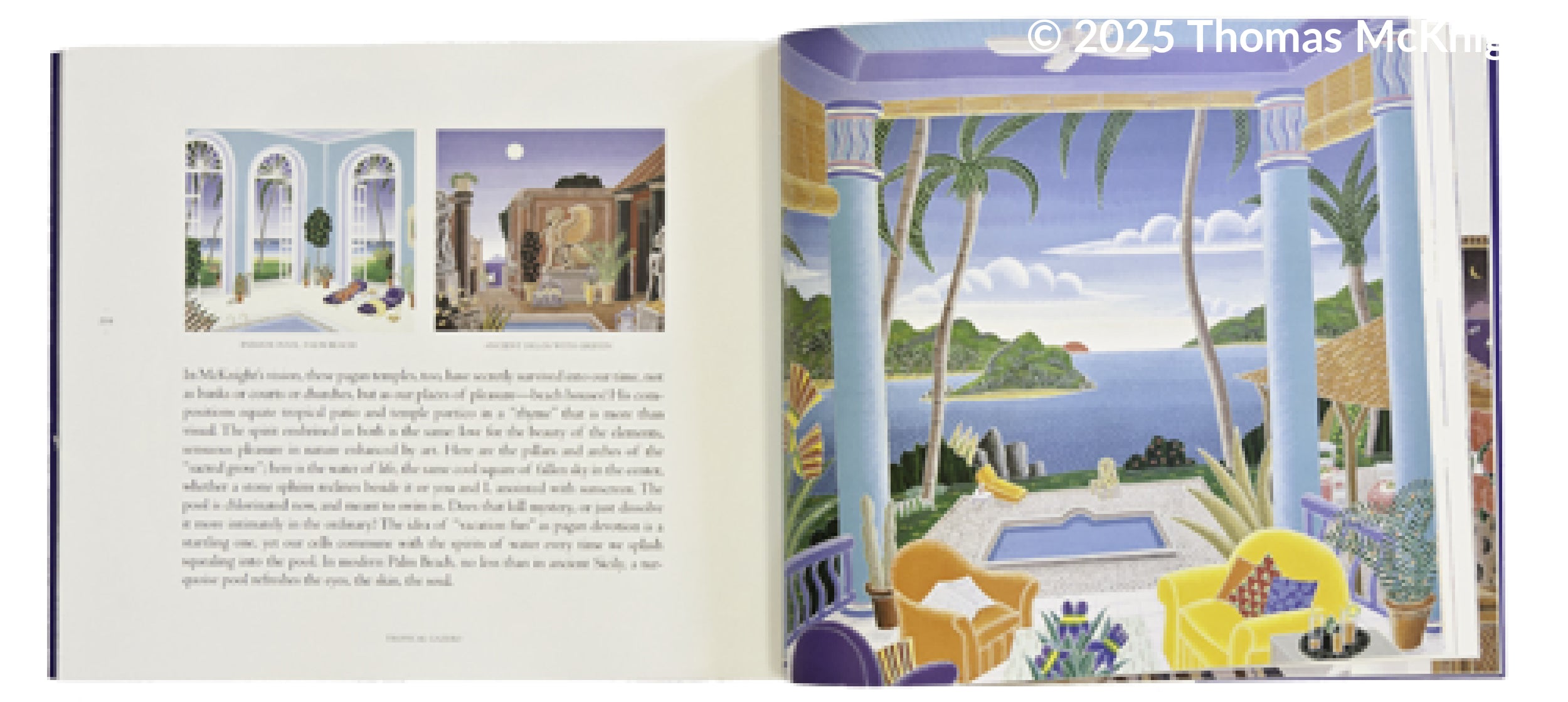 Thomas McKnight’s Voyage to Paradise books